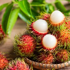 Rambutan