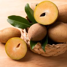 Sapodilla