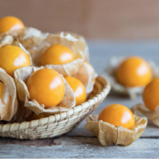 Cape Gooseberry 